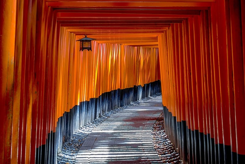 Kyoto Japan Torii Gate